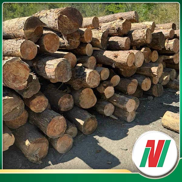 Wooden logs	